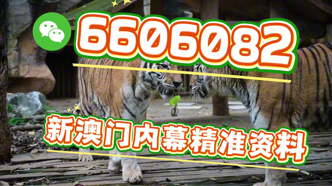 澳門今晚必開一肖一特，揭秘生肖彩票的魅力與策略，澳門生肖彩票揭秘，必開一肖一特的魅力與策略