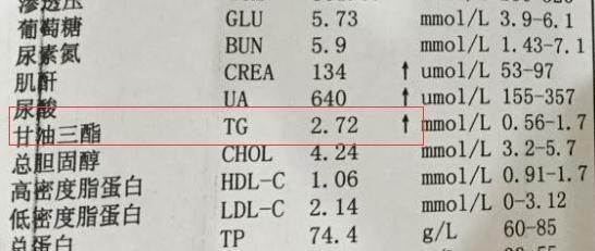 甘油三酯偏高說明什么?深入了解與應對之道,甘油三酯偏高揭示的健康風險,深入了解及應對方法