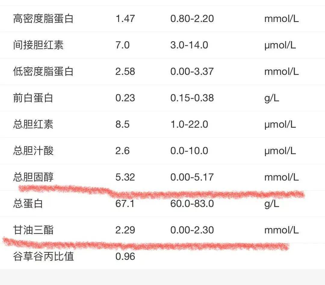 甘油三酯偏高說明什么?深入了解與應對之道,甘油三酯偏高揭示的健康風險,深入了解及應對方法